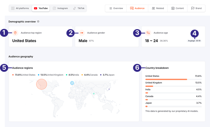 youtube_audience_demographic_overview